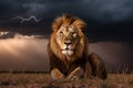 African lion majestically sitting in the vast savannah under a dramatic Lightning storm in the sky. Generative AI