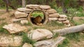 African Lion resting inside the cave Royalty Free Stock Photo