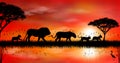 Lions at sunset. African savannah. River bank Royalty Free Stock Photo