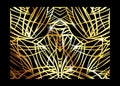 African Luxury Exotic pattern. Elegant brochure, Gold shiny Geometric frame. Abstract texture with Palm, exotic leaves. Vector