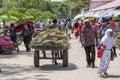 African man carrying a cart of tropical fruits at a local street food market on the island of Zanzibar, Tanzania, east Africa Royalty Free Stock Photo