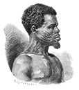 African Man from Niger River Delta. Nigeria Today.History and Culture of Africa. Antique Vintage Illustration. 19th