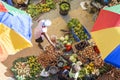 African market, Assomada, Santiago Island,