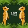 African animals cartoon