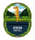 African animals cartoon