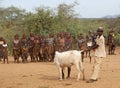 African men and cattle