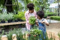 African mother and daughter is choosing vegetable and herb plant from the local garden center nursery with shopping cart full of Royalty Free Stock Photo