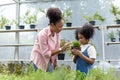 African mother and daughter is choosing vegetable and herb plant from the local garden center nursery with shopping cart full of Royalty Free Stock Photo