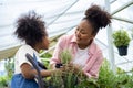 African mother and daughter is choosing vegetable and herb plant from the local garden center nursery with shopping cart full of
