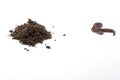 African Night Crawler, earthworms and Fertile soil isolated on white background