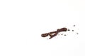 African Night Crawler, earthworms on white background