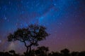 African Night Sky