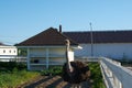 African ostrich on the farm.wild fowl in a greenhouse on a farm