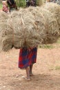 African peasant carrying hay