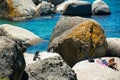 African penguins Spheniscus demersus watching people taking sunbath in Boulders in Simonstown in Cape Town, South Africa Royalty Free Stock Photo