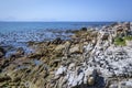 African penguin colony at Stoney Point