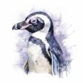 african penguin Generative Ai