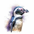 african penguin Generative Ai