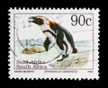 African Penguin Spheniscus demersus, Definitives Endangered Animalsserie, circa 1995