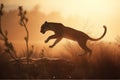 African puma cougar in the wild, in an aggressive predatory leap at sunset. AI generated.