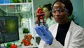 African researcher holding glas with strawberry injected with pesticides Royalty Free Stock Photo