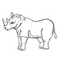 African rhinoceros Wild animal on white Royalty Free Stock Photo