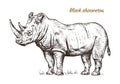 African rhinoceros Wild animal on white background. Engraved hand drawn line art Vintage old monochrome sketch, ink