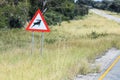 African road sign with the image of the animal - antelope on the road Royalty Free Stock Photo