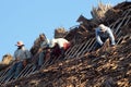 African Roofers at Work