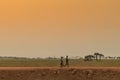 African rural people returning from work, with sunset. Sumbe. An