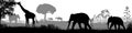 African safari animal silhouette landscape scene Royalty Free Stock Photo