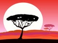 African safari background with red sunset and tree Royalty Free Stock Photo