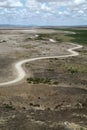 African Safari road