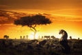 African Safari Sunset Scene With Lioness Royalty Free Stock Photo