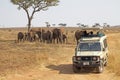 African safari Royalty Free Stock Photo