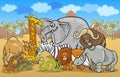 African safari wild animals cartoon illustration