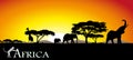 African savanna