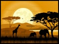 African savanna Royalty Free Stock Photo