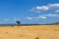 African savanna landscape, Masai Mara park, Kenya, Africa Royalty Free Stock Photo