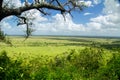 African savanna landscape Royalty Free Stock Photo