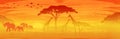 African savanna landscape at sunset, Silhouettes of animals and plants, nature of Africa. Reserves and national parks, orange