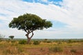African savannah landscape Royalty Free Stock Photo