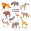 African Savannah Wild Animal Set. Lion, Rhino, Zebra, Buffalo, Giraffe, Flamingo, Leopard, Gazelle, Elephant, Hyena