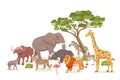 African Savannah Wild Animal Set. Lion, Rhino, Zebra, Buffalo, Giraffe, Flamingo, Leopard, Gazelle, Elephant, Hyena