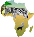 African savannah with zebra and secretary bird - vector