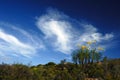 African Sky (Cederberg) Royalty Free Stock Photo