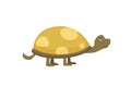 African Spurred Tortoise vector illustration