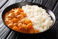 African stew Domoda with peanuts cooked with chicken pumpkin and served with rice close-up in a plate. horizontal