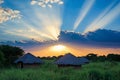African sunburst over traditional thatched huts in vibrant landscape Royalty Free Stock Photo