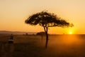 African sunrise with acacia trees and safari car in Masai Mara, Kenya. Savannah background in Africa. Safari concept